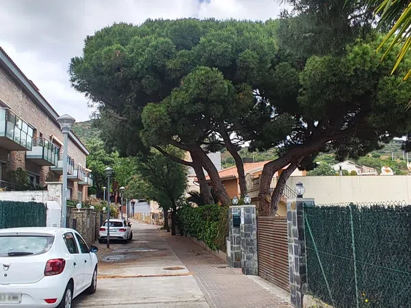 Chalet adosado en Calle Galceran Marquet, 20 - Foto 29
