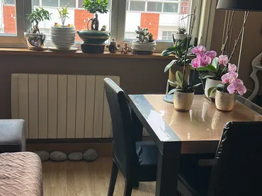 Piso en  Rúa Sánchez Calviño 88 - Foto 7