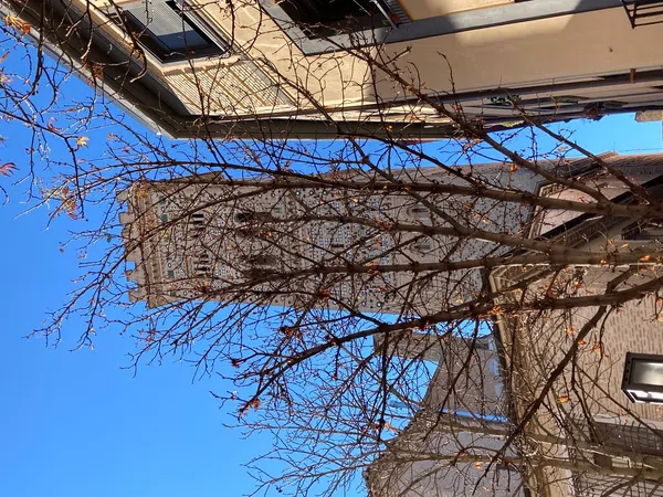 Piso en calle Coso, 166 - Foto 11