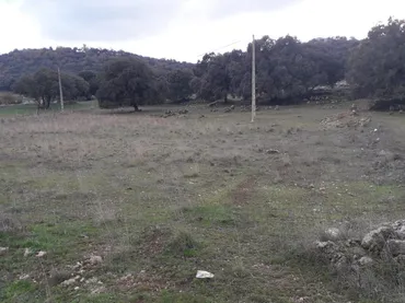 Finca rústica en - Foto 3