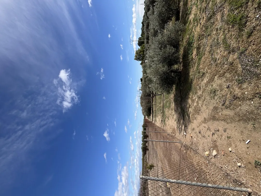 Finca rústica en  Calle Fc Ladrillo 11 - Foto 17