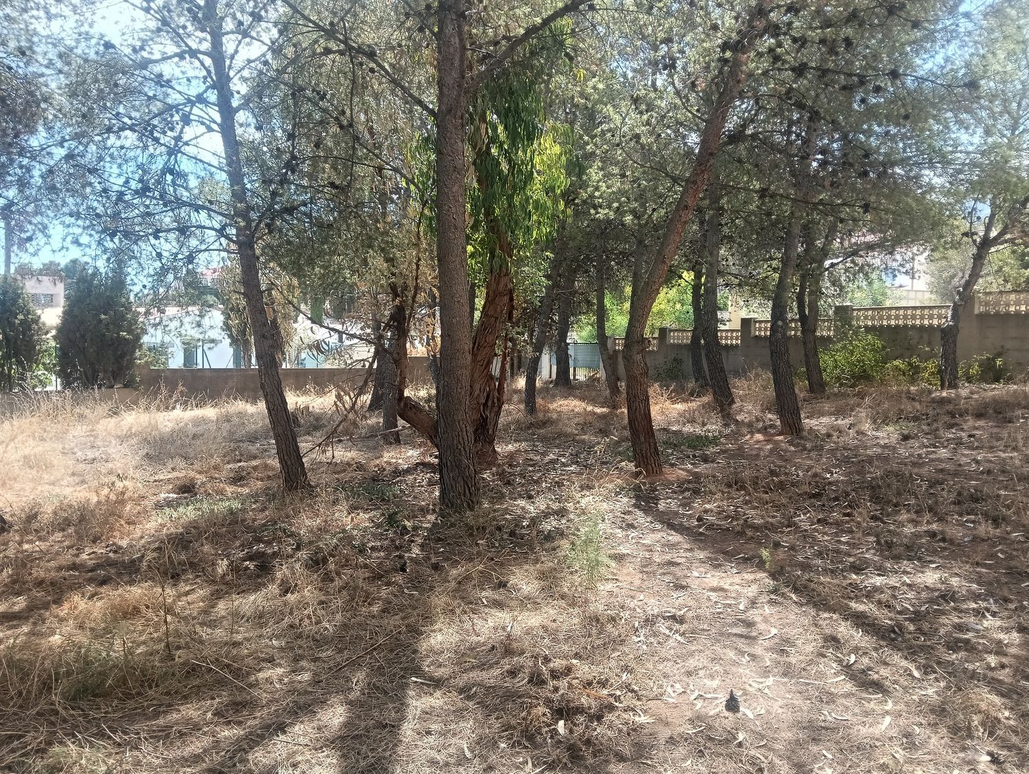 Casa independiente en calle Coetaires, 2 - Foto 8