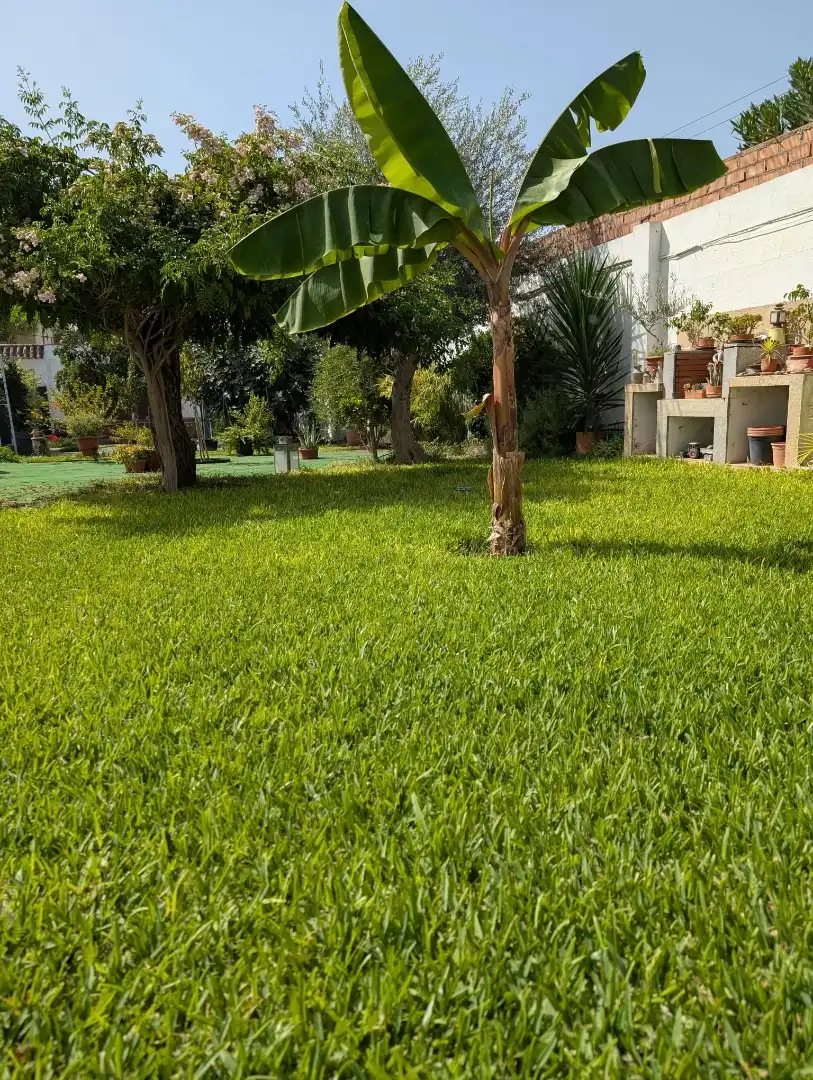 Chalet en  Urbanización Luisas B 32 - Foto 9