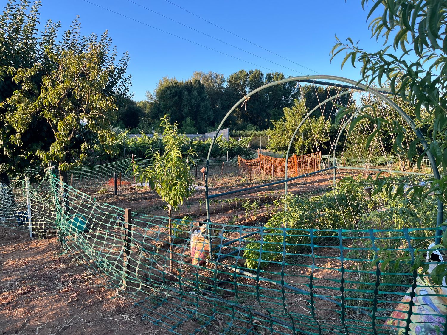 Casa rural en Camponaraya - Foto 4