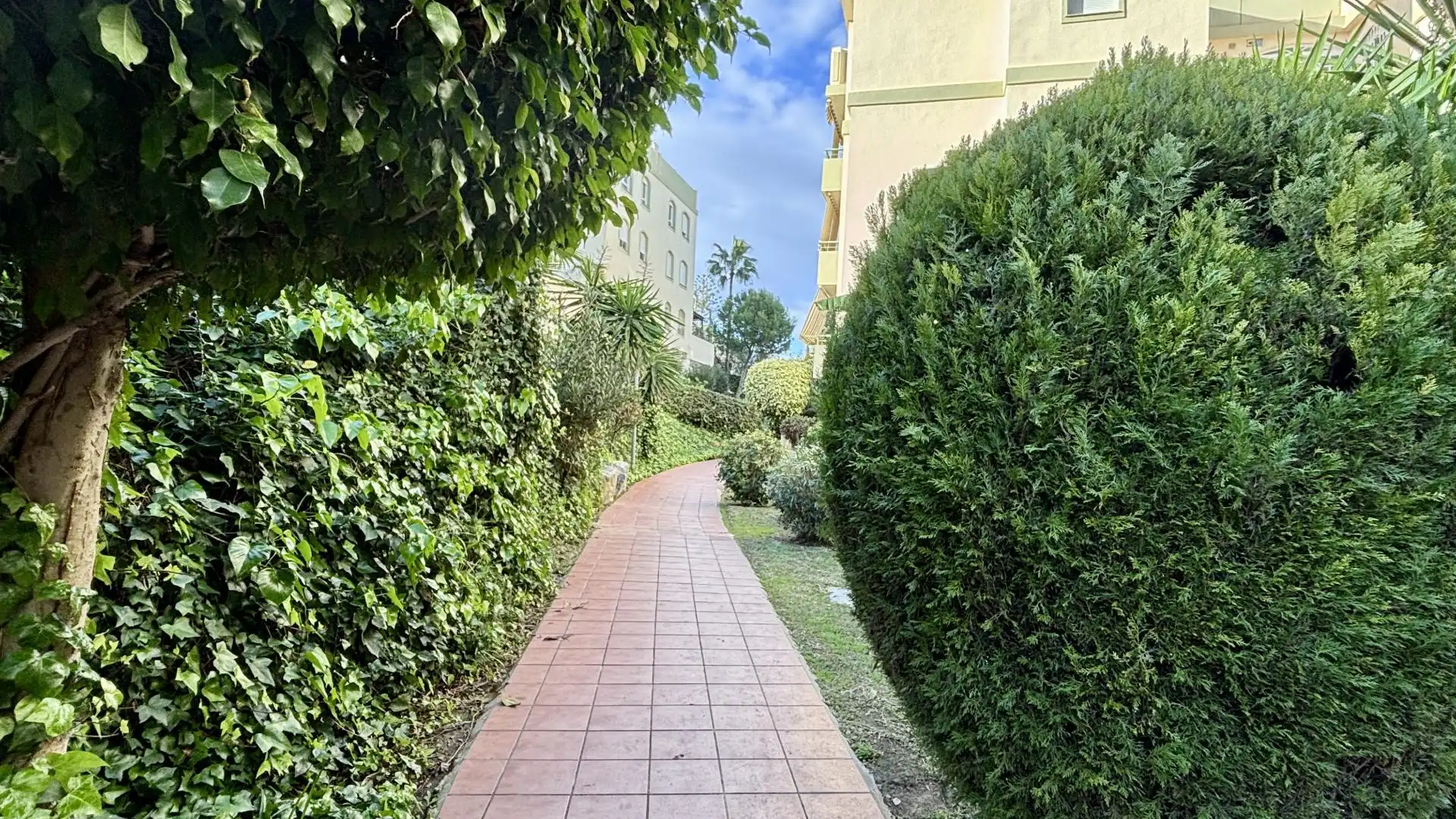 Piso en  Camino del Pilar 10 - Foto 6