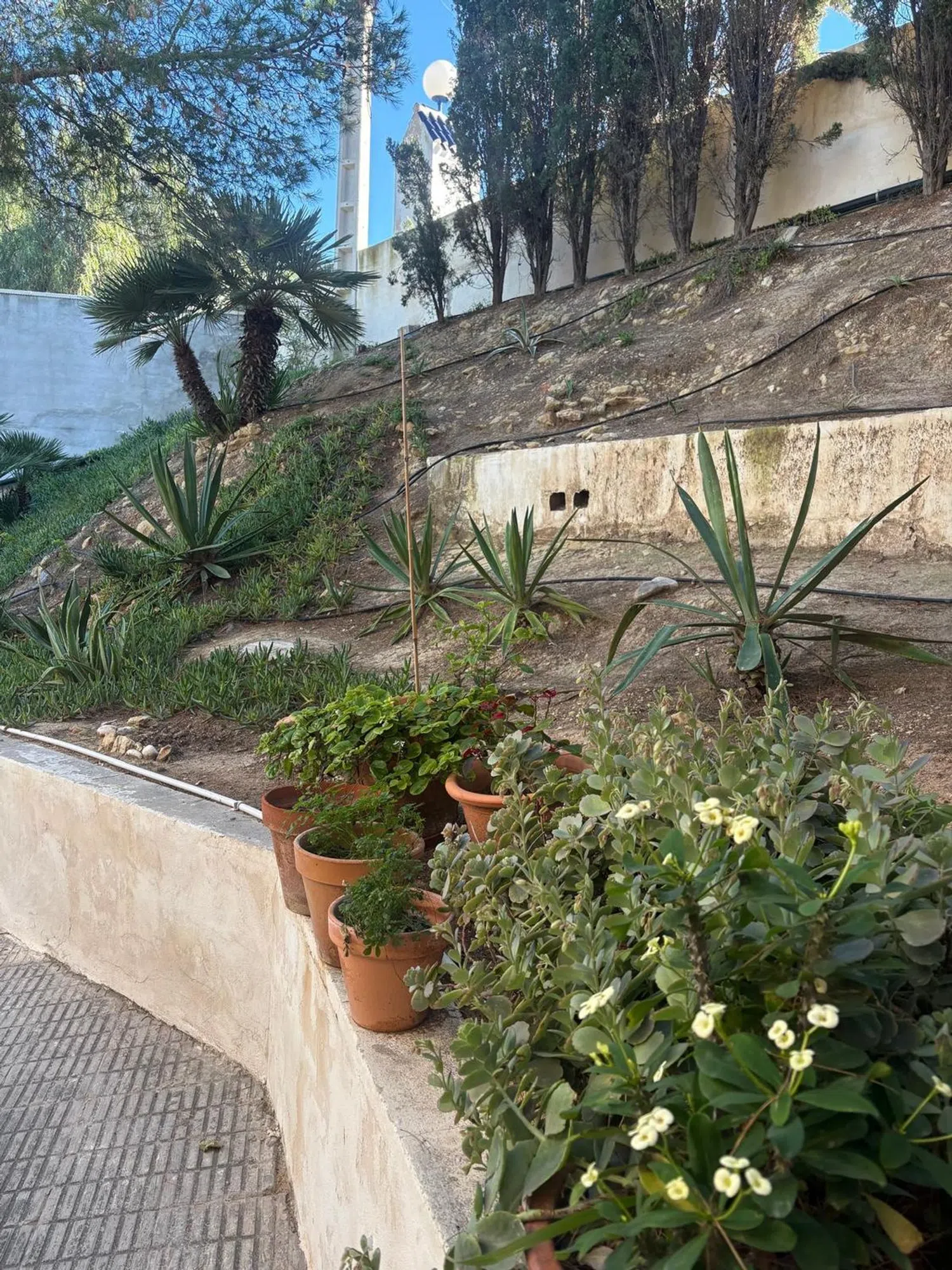 Piso en camino del Faro, 4 - Foto 6