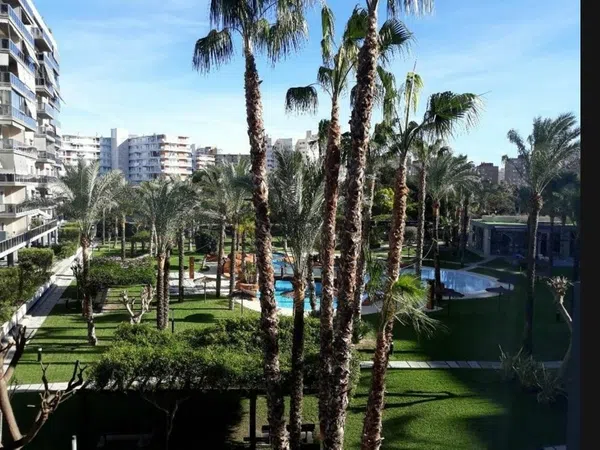 Piso en Historiador Vicente Ramos, 23 - Foto 2