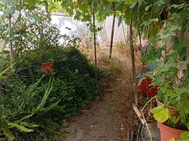 Planta baja en  Calle Galdames 83 - Foto 11