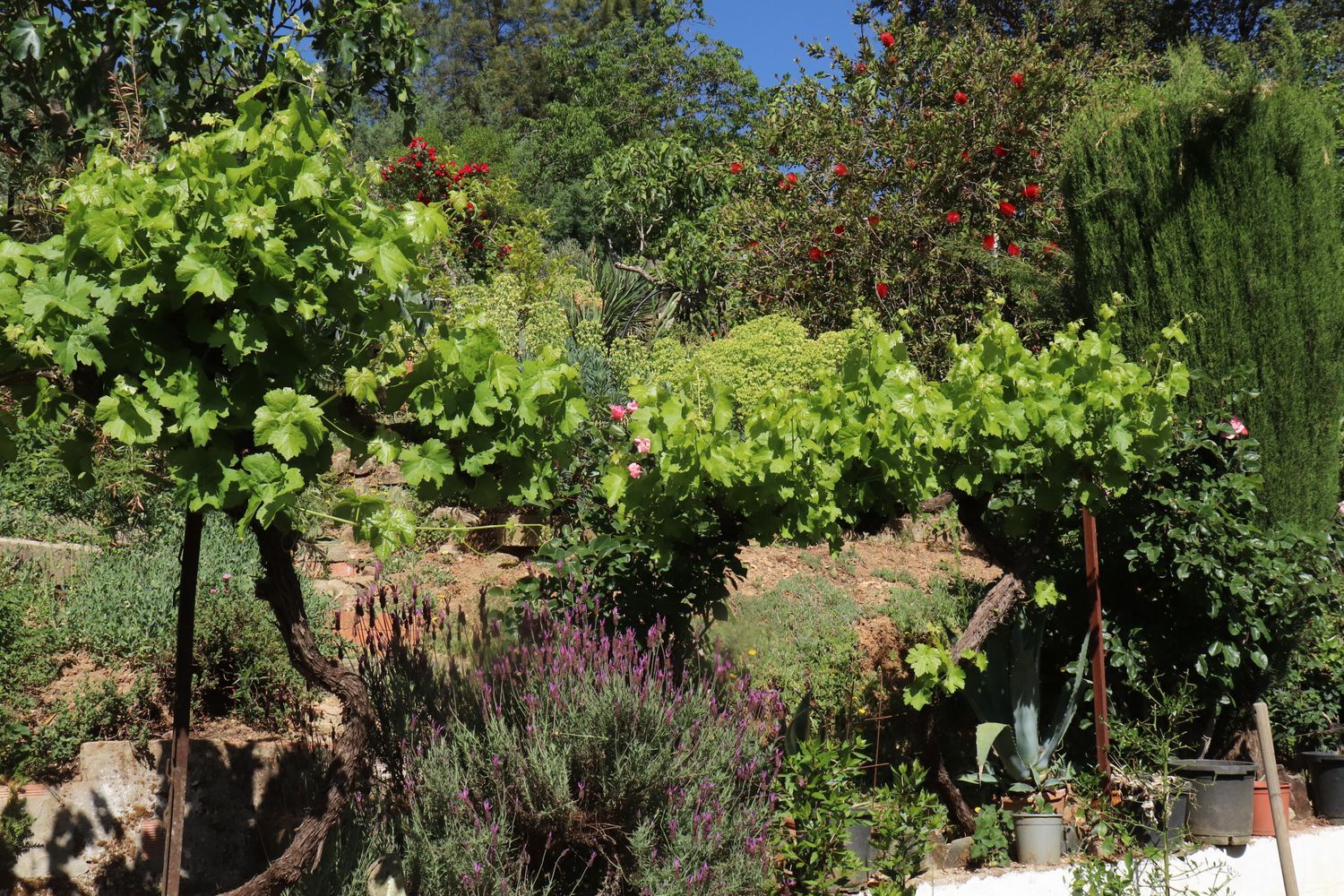 Chalet pareado en carretera Cc-431 s/n - Foto 36