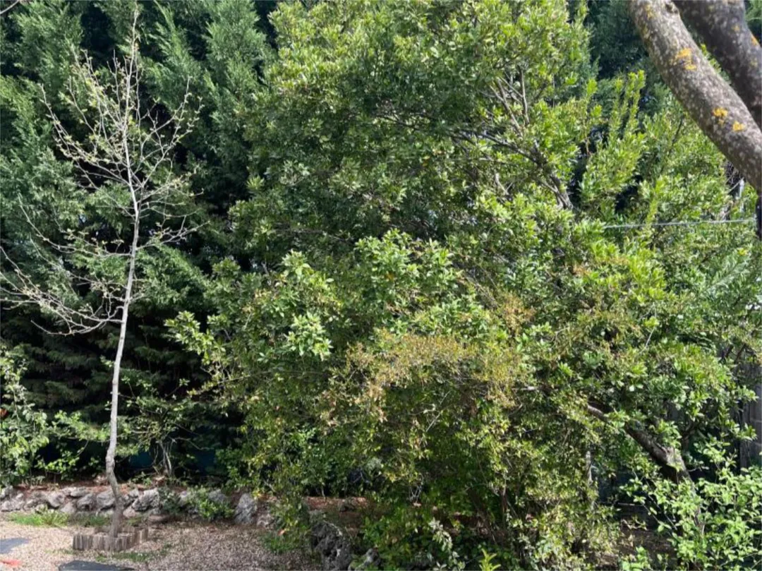 Chalet en Rivas-Vaciamadrid - Foto 33