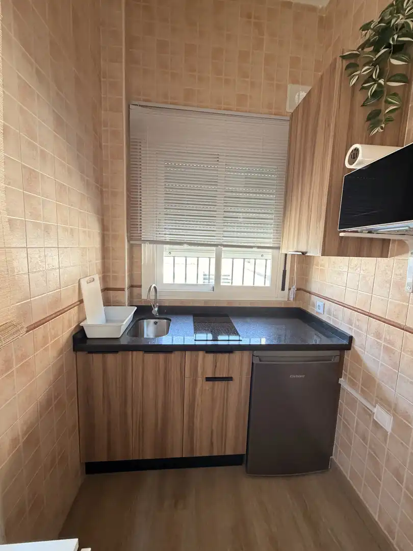 Estudio en  Paseo Marítimo el Pedregal 54 - Foto 6