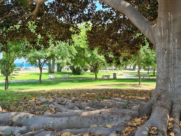 Piso en camino de Fondo, 3 - Foto 16