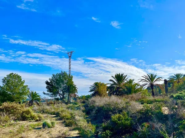 Finca rústica en camino Viejo de Saladas, 2 - Foto 18