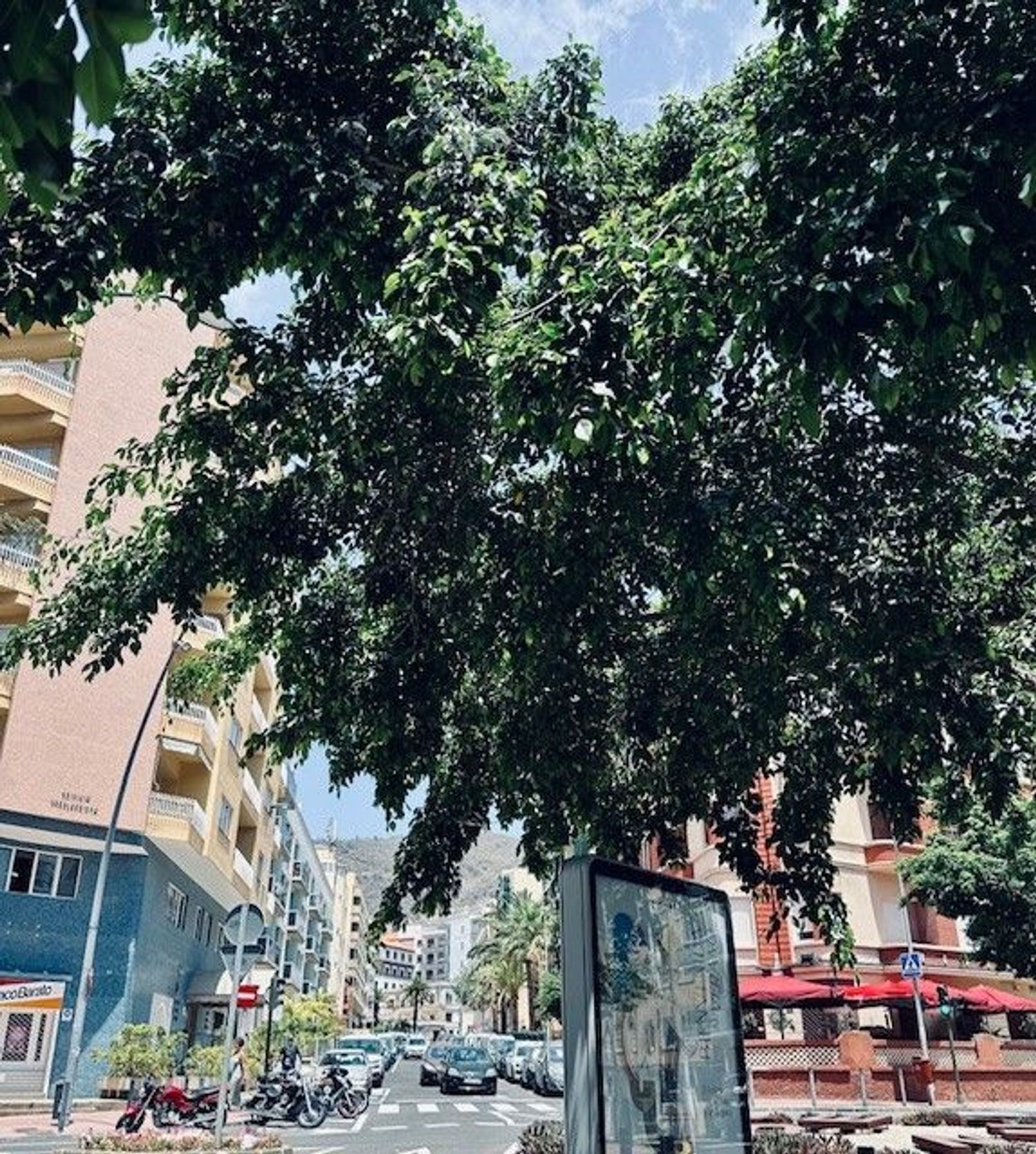 Estudio en Calle San Martín, 64, Toscal - Foto 12