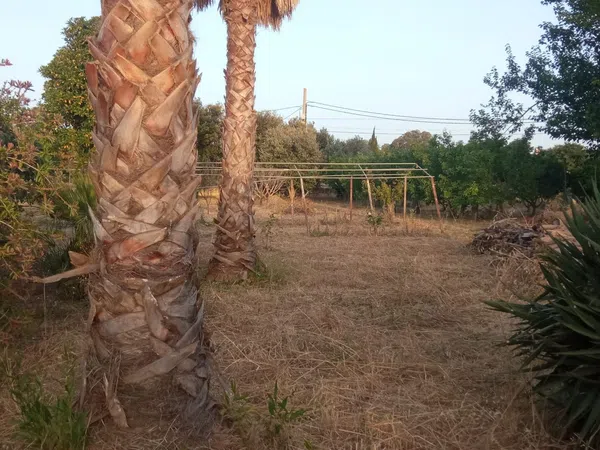 Finca rústica en Ma-3440 s/n, Zona periurbana, Zona periurbana - Foto 5