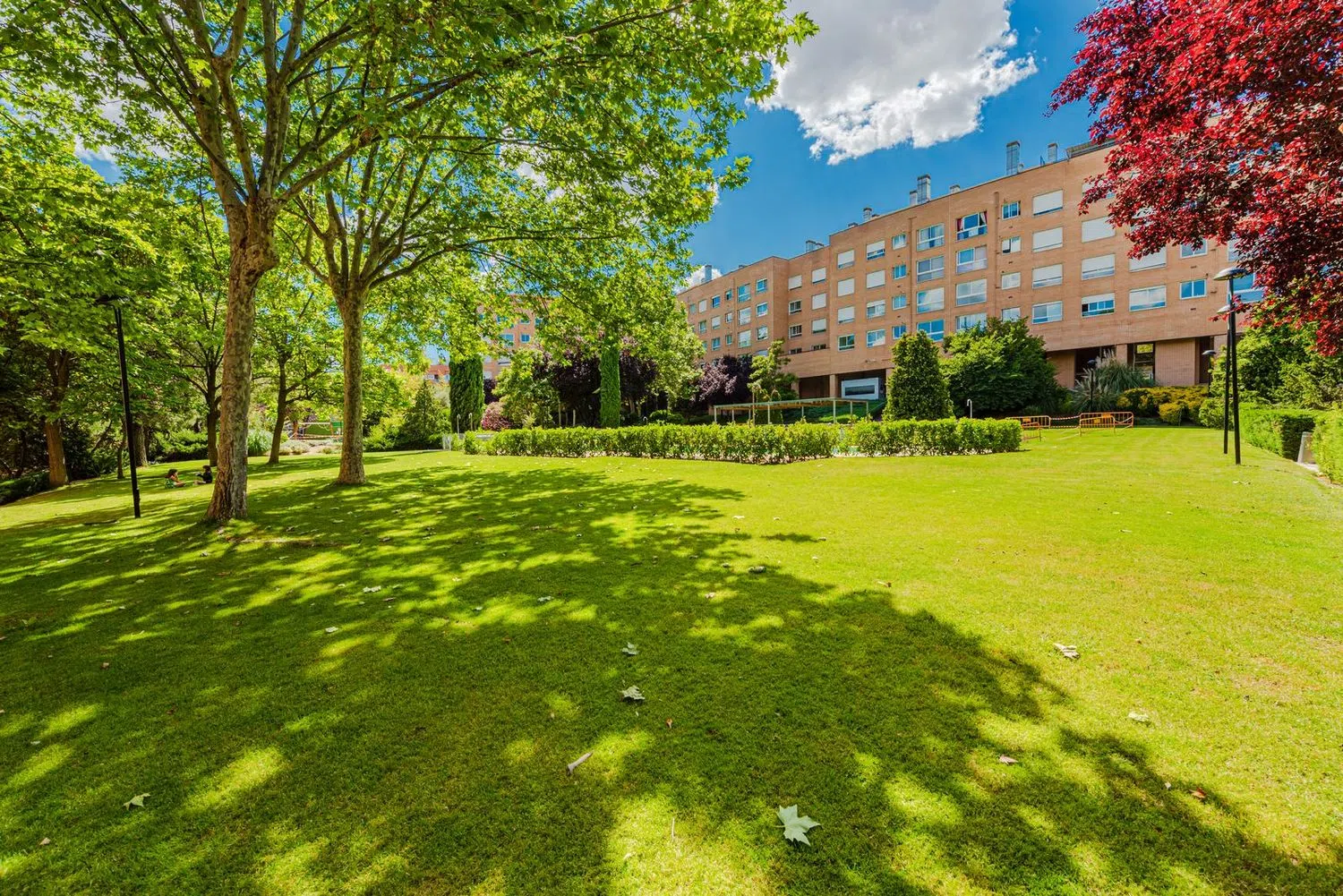 Estudio en avenida del Papa Negro - Foto 10