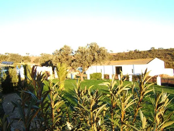 Finca rústica en Travesía Reyes Huertas s/n - Foto 4