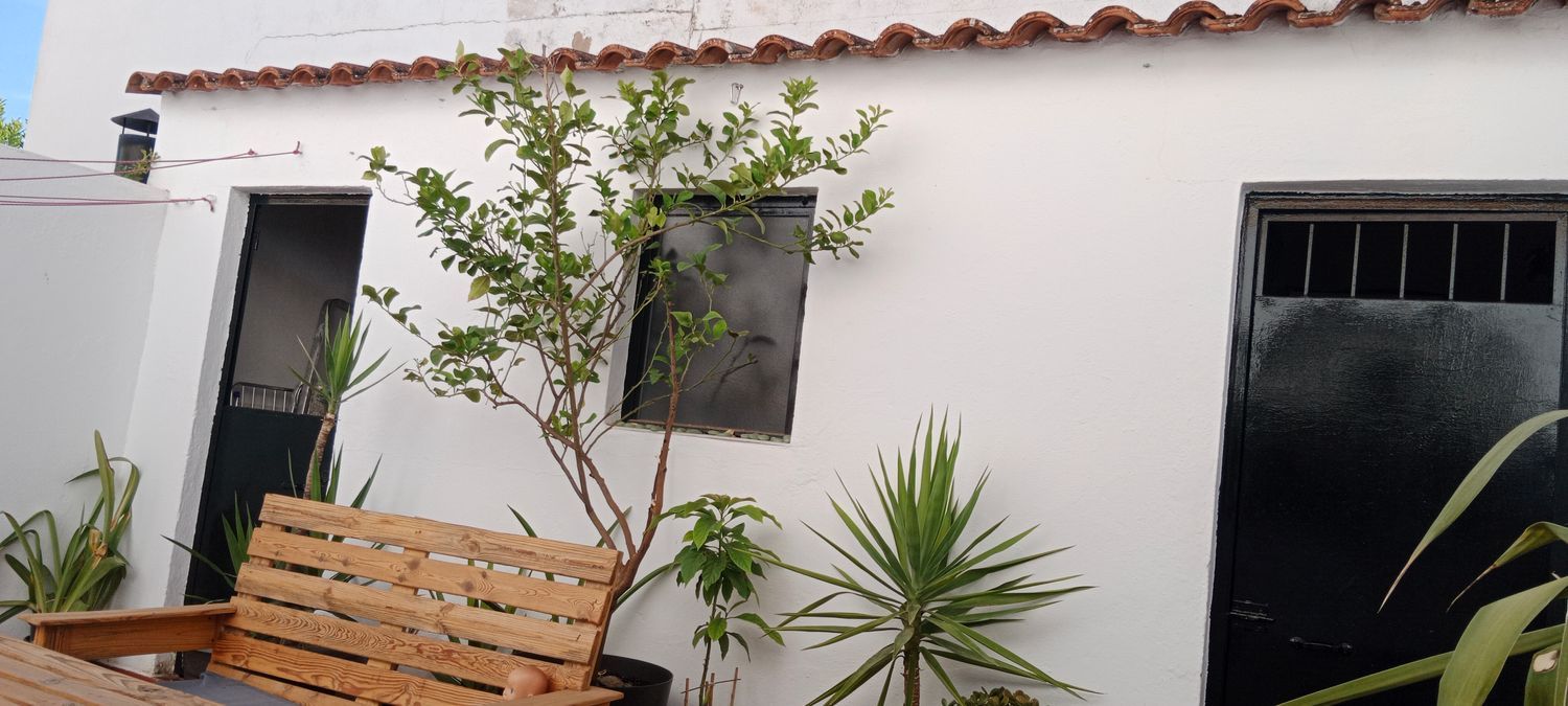Casa o chalet independiente en Calle Adelardo Covarsí, 18 - Foto 12