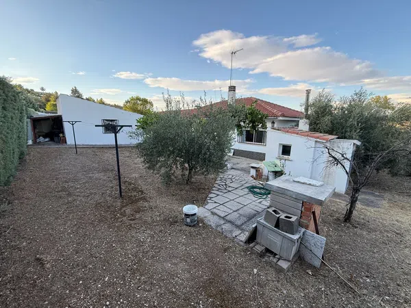 Casa o chalet independiente en Calle Mar Menor, 256 - Foto 34