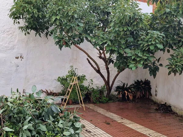 Casa de pueblo en Calle Mondéjar, 29 - Foto 1