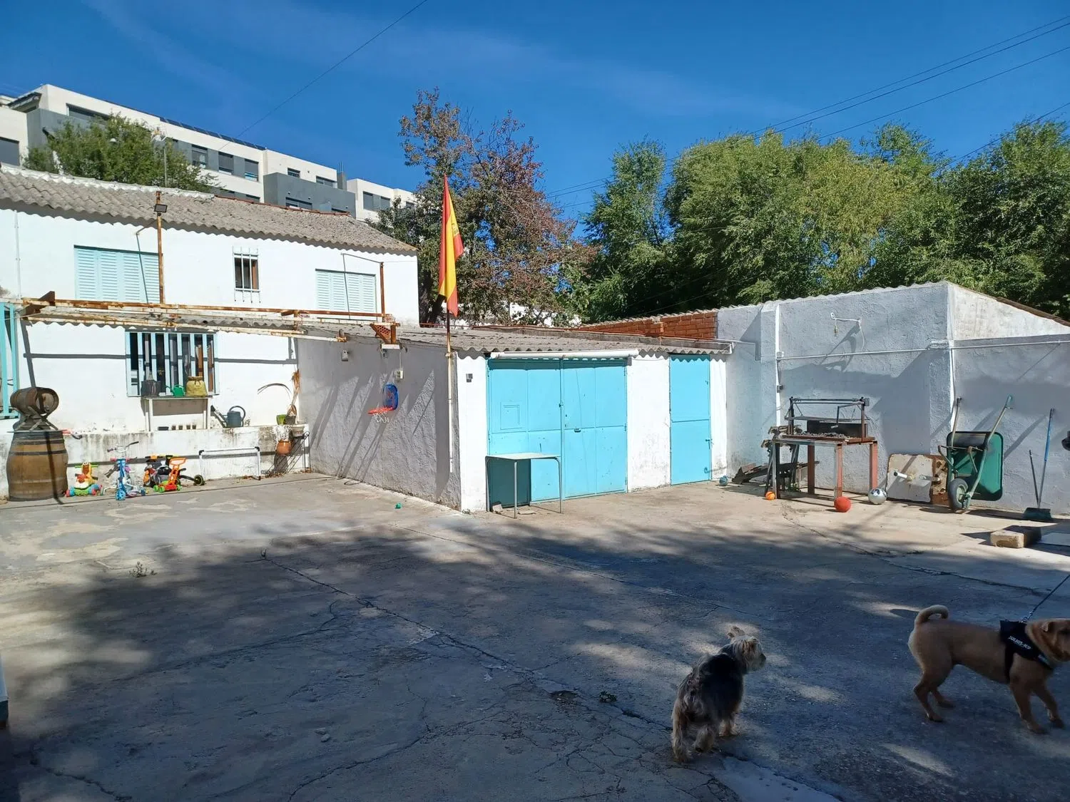 Casa independiente en camino Viejo de Burgos, 37 - Foto 9