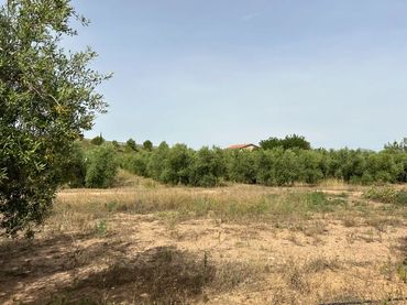 Finca rústica en  Camí de Sant Joan 1 - Foto 12