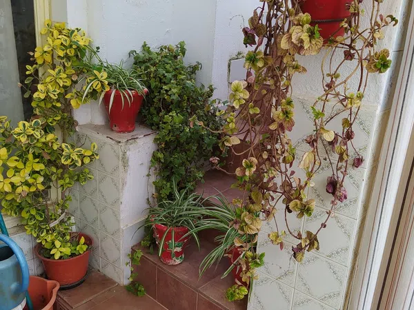 Casa de pueblo en Calle San Antón, 13 - Foto 9