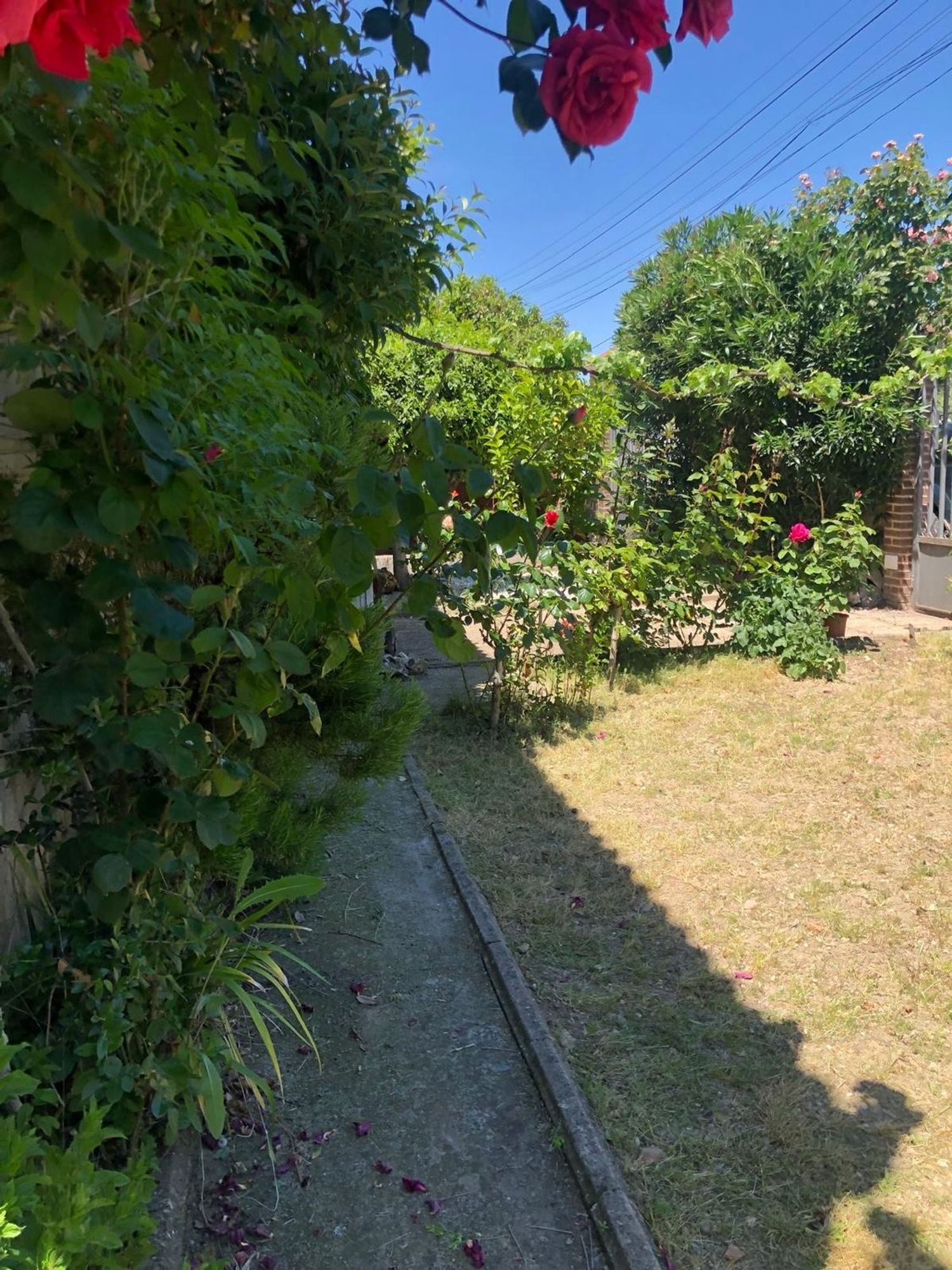 Casa o chalet independiente en Santovenia de Pisuerga - Foto 4
