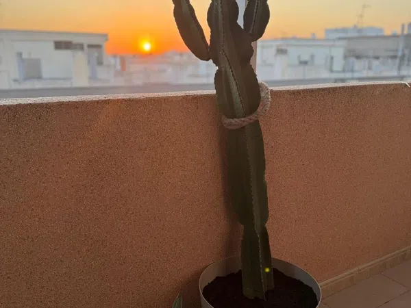 Ático en Calle San Pascual, 235, Antonio Machado - Foto 12