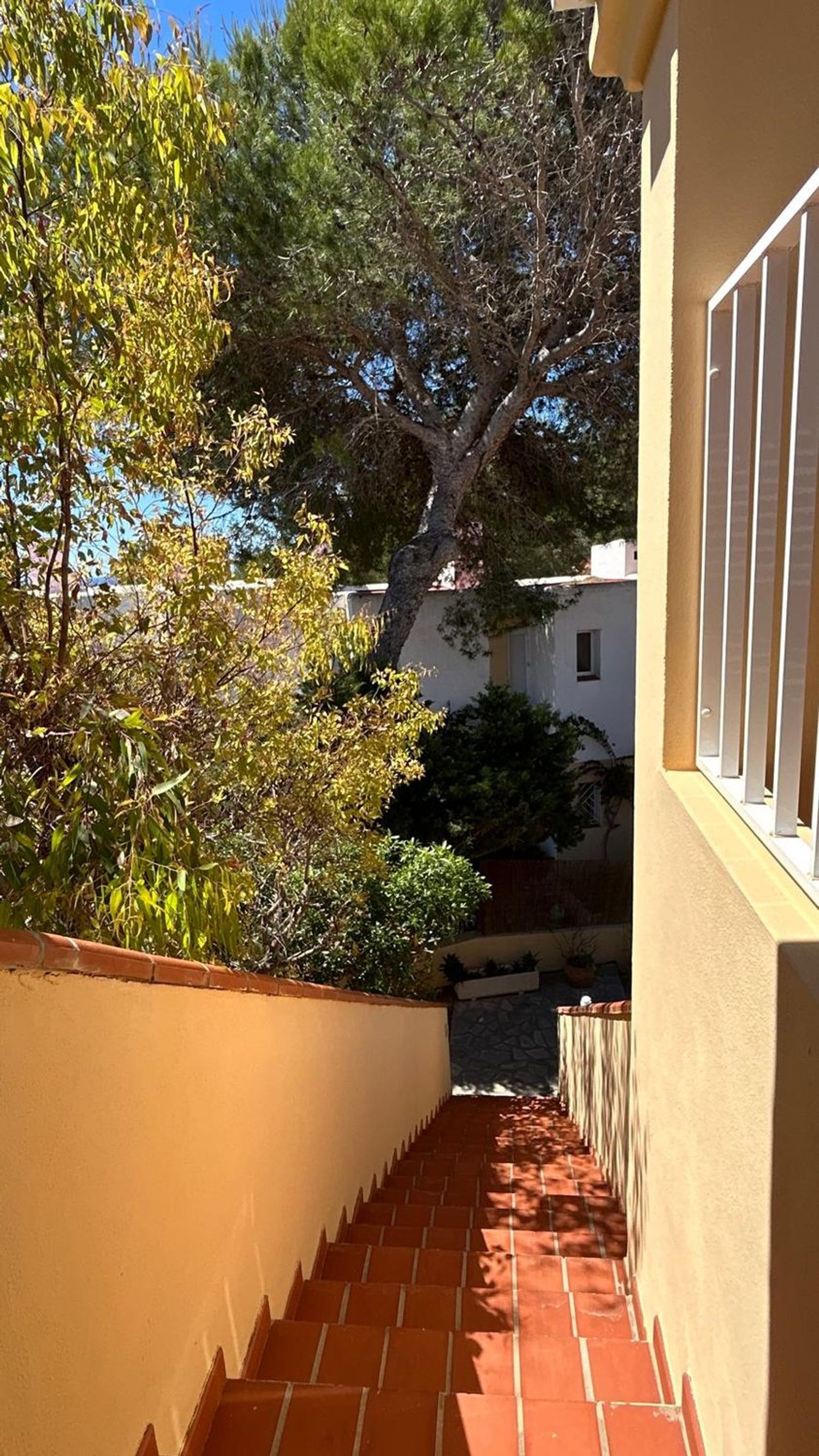 Estudio en Avenida de Cala Llenya, 77, San Carlos, San Carlos - Foto 8