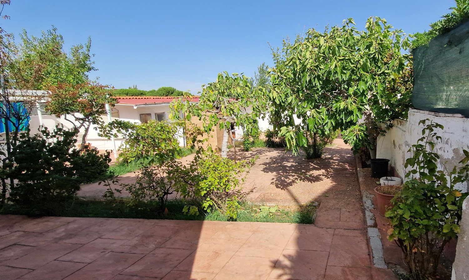 Chalet pareado en Prado de Somosaguas, Prado de Somosaguas - Foto 4