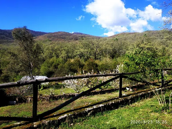 Casa rural en Calle Hoyo Cano s/n - Foto 31