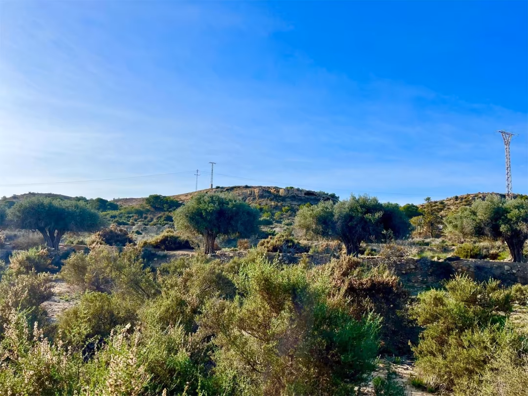 Finca rústica en  Camino Viejo de Saladas 10 - Foto 20