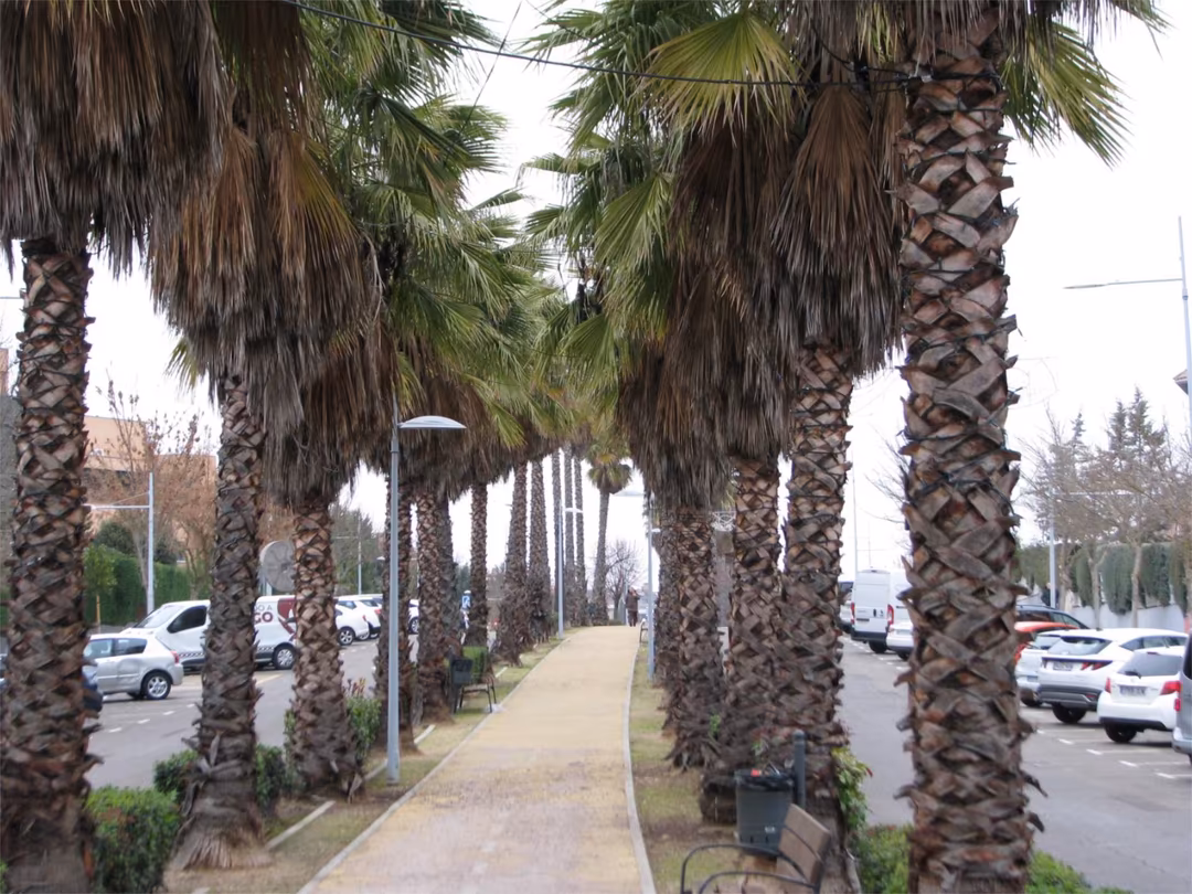 Piso en  Avenida Infante Don Luis 18 - Foto 4