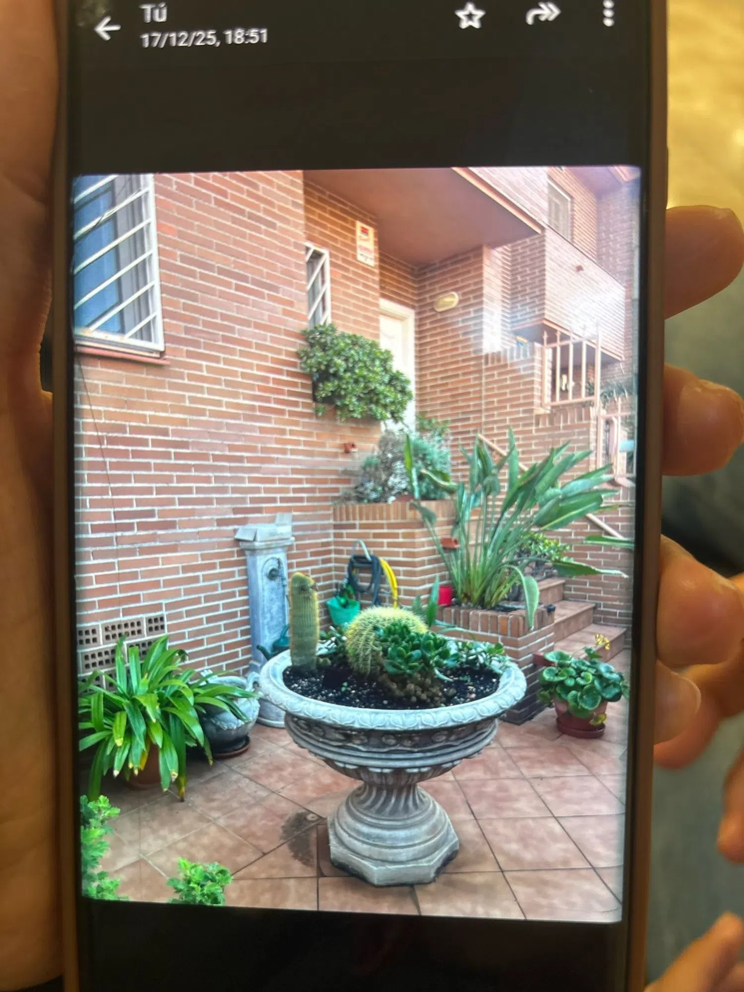 Chalet adosado en calle Pintor Peyret, 2 - Foto 30