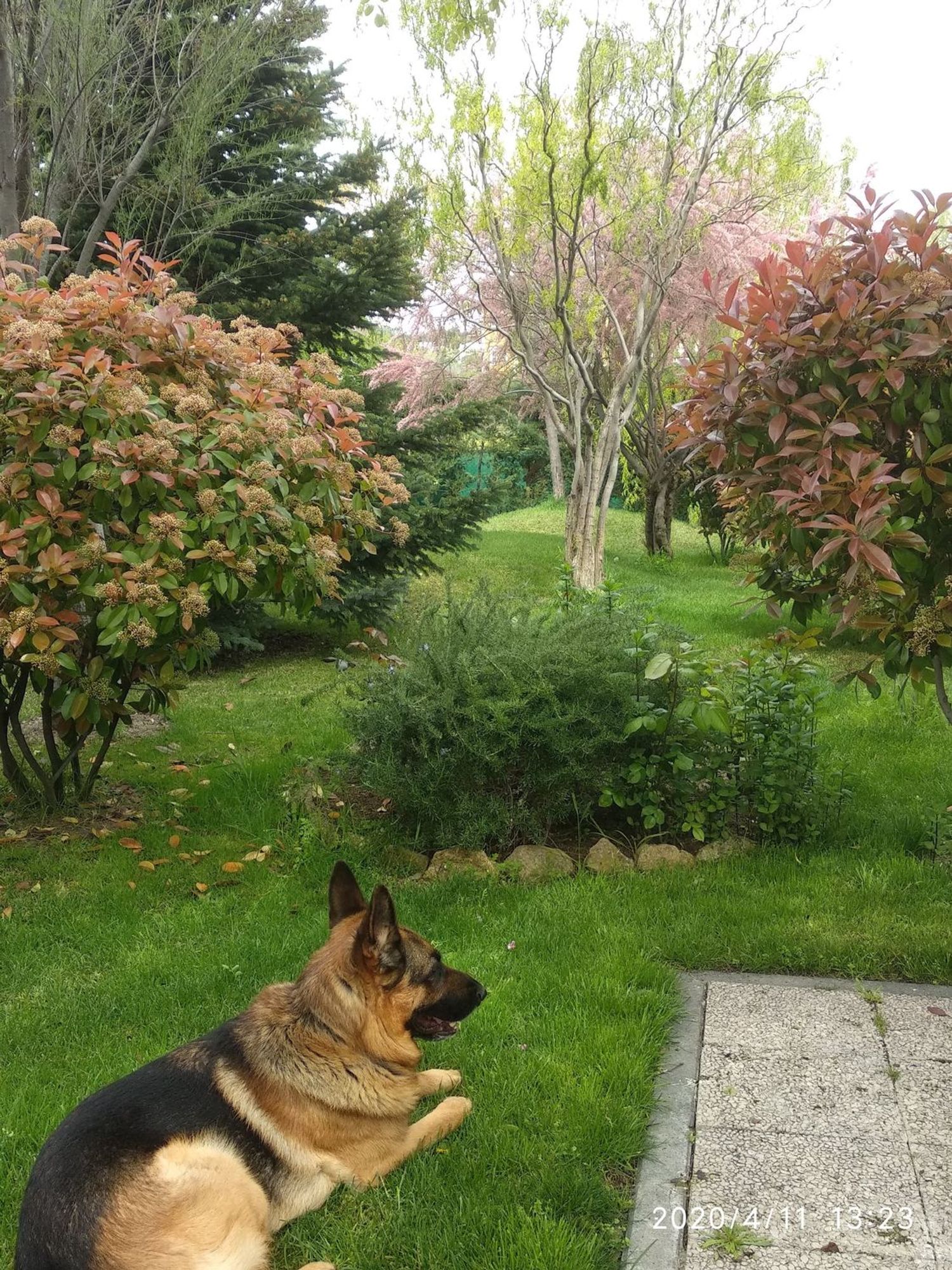 Casa independiente en Urb. campodón Barrio Campodón - Ventorro del Cano - Foto 22