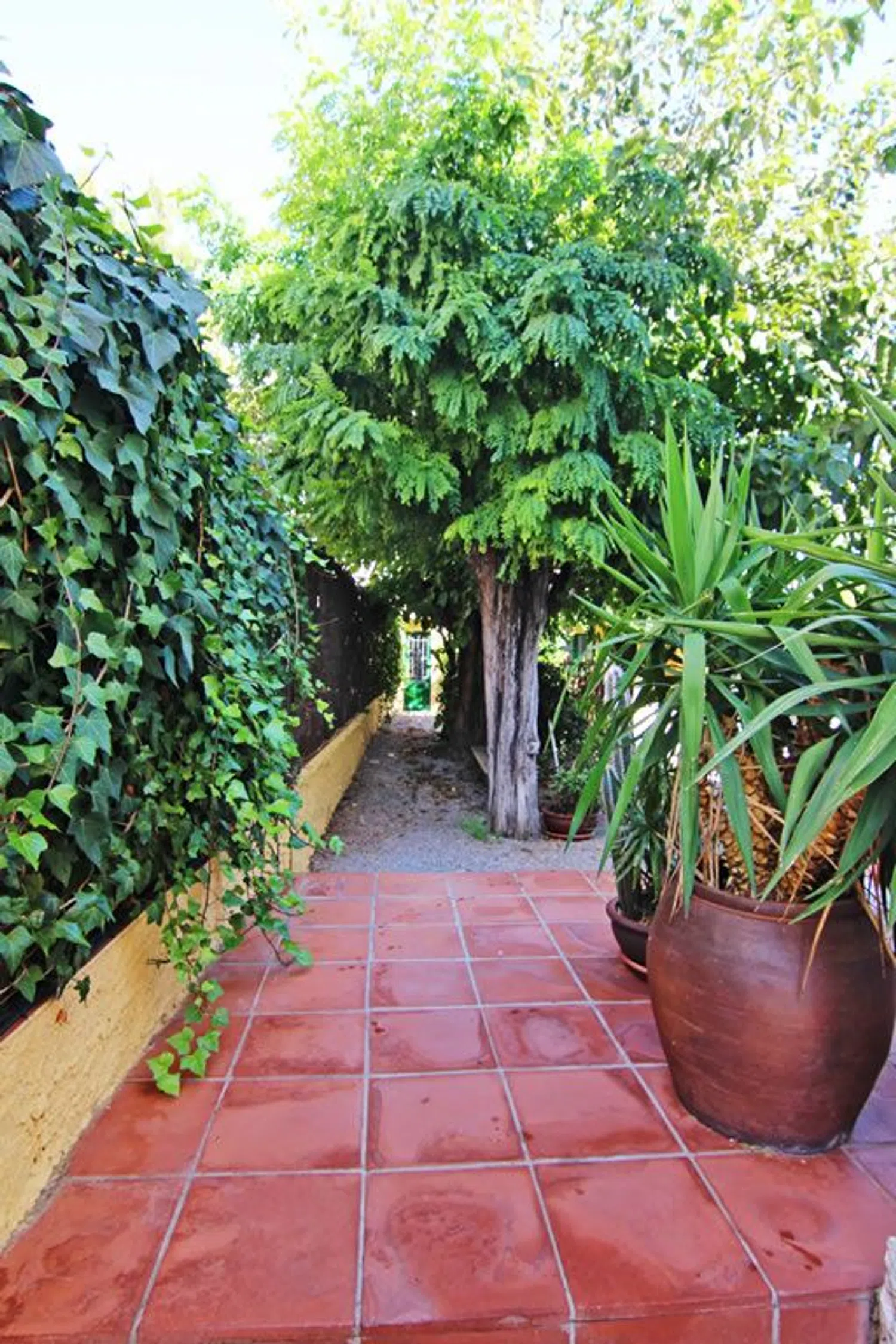 Casa terrera - Foto 4