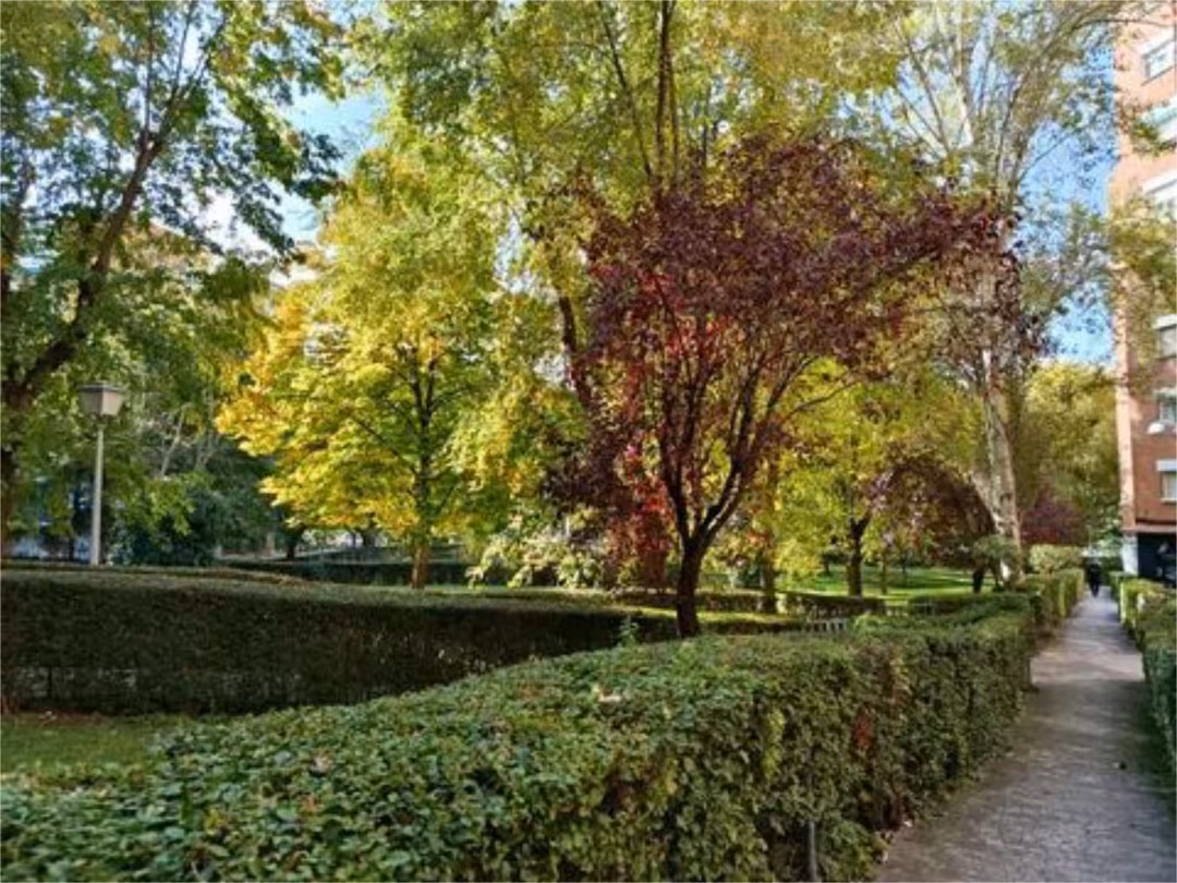 Piso en  Calle Mérida 3 - Foto 24