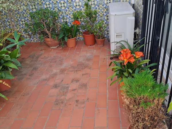 Casa o chalet independiente en Calle Gabriel y Galán, 9, Pedregalejo - Morlaco - Foto 21