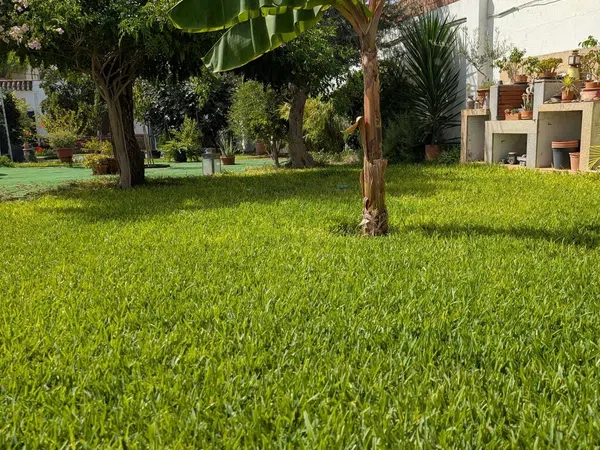 Casa o chalet independiente en Urb. Las Luisas, 30, La Hacienda - Nueva Andalucía, La Hacienda - Nueva Andalucía - Foto 12