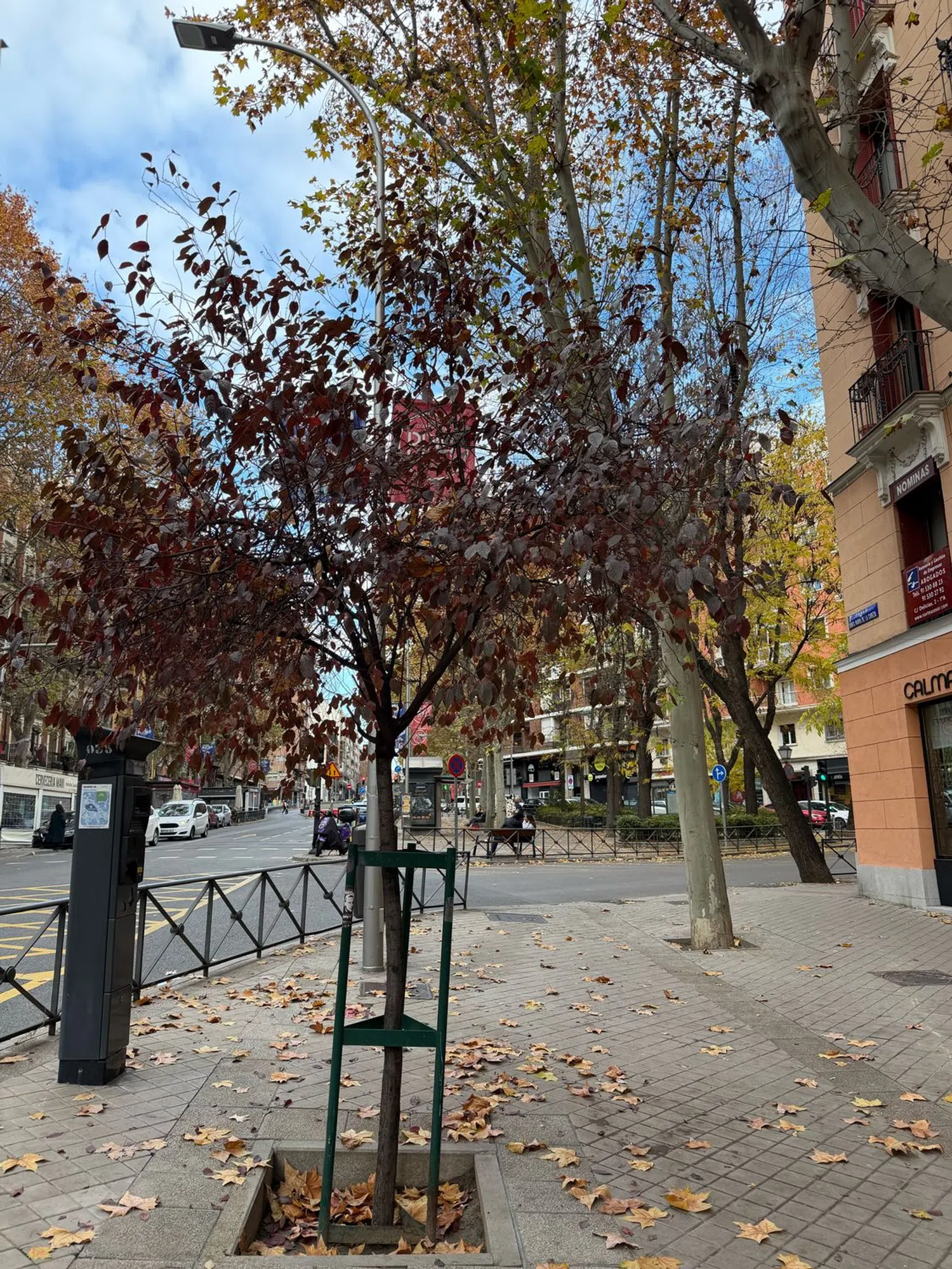 Ático en paseo de Santa María de la Cabeza, 33 - Foto 16