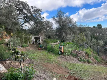 Finca rústica en  Camino Carrascoso Siete Fincas 180D - Foto 8