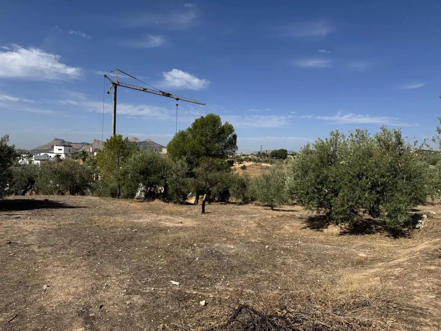 Finca rústica en  Prolongación Cañada del Tovar 34 - Foto 8