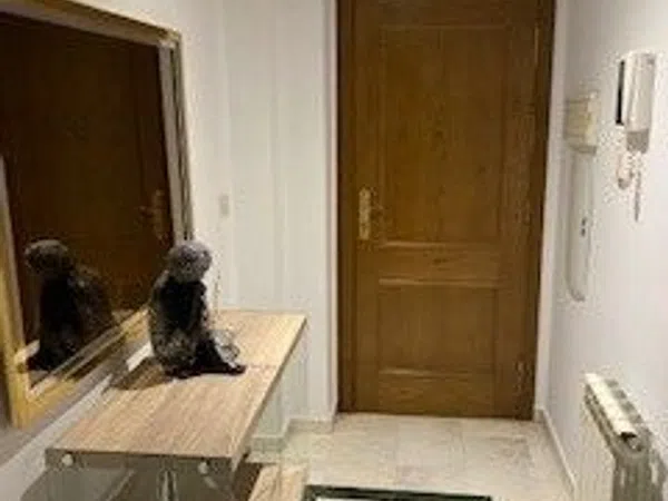 Piso en Calle Benidorm, 1, La Zubia, La Zubia - Foto 10