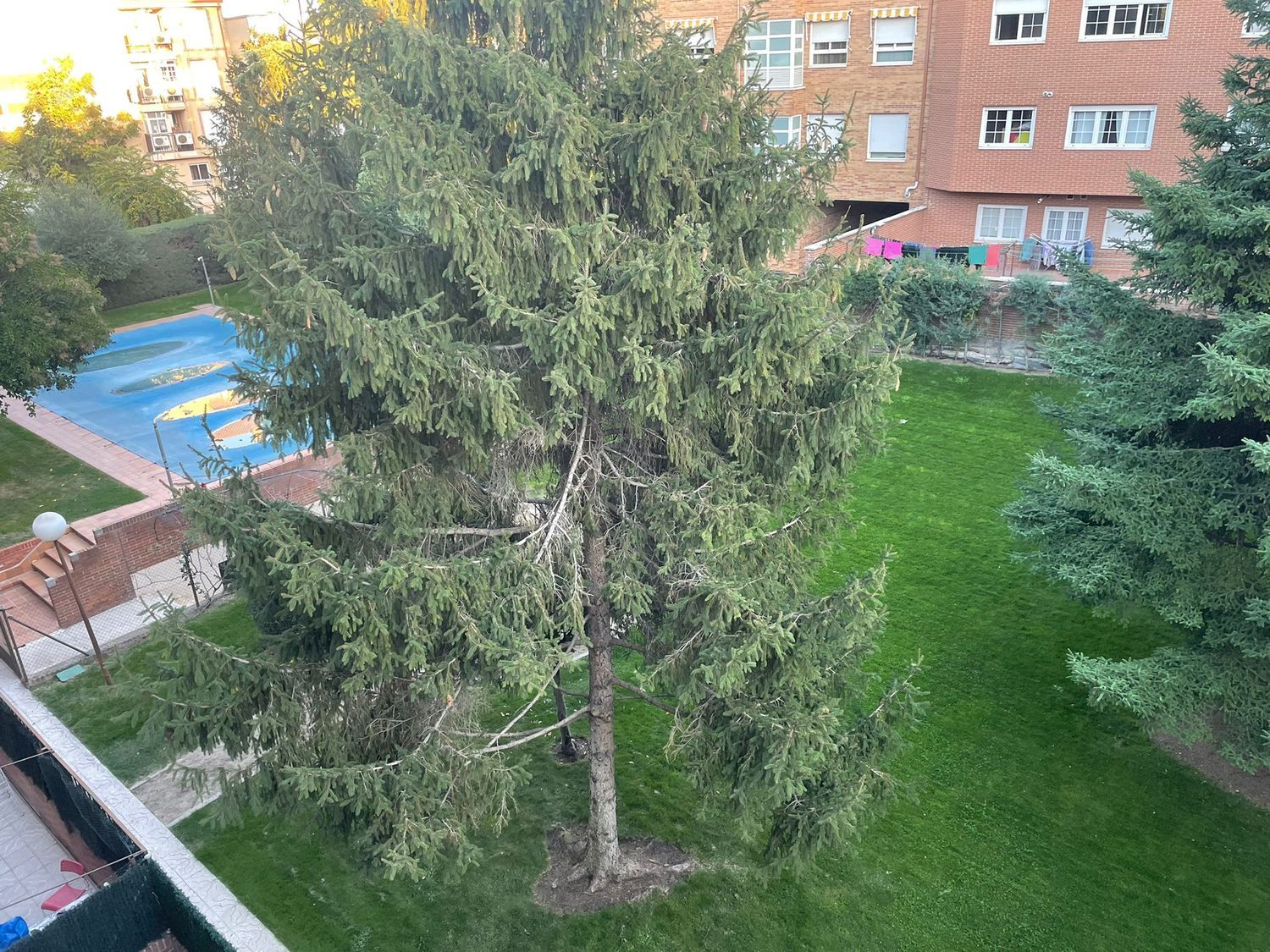 Piso en calle de Soria, 10 - Foto 1