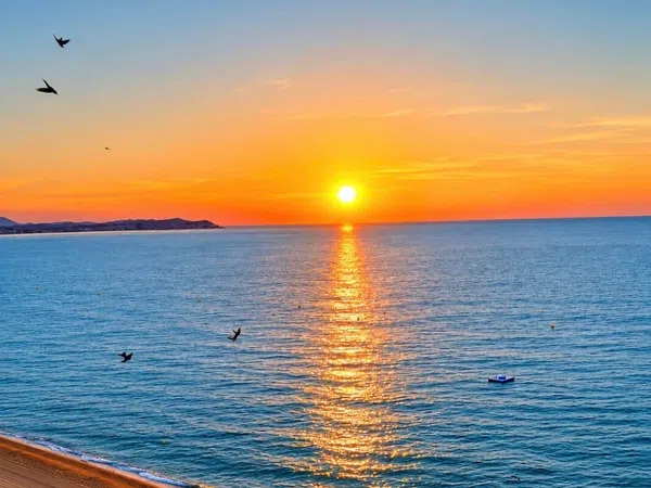 Estudio en Paseo Marítim, 166, Platja Llarga - Foto 5