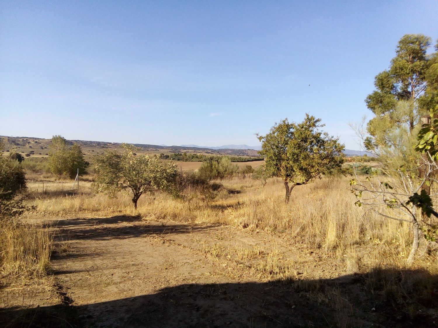 Finca rústica en camino de las laderas, 45 - Foto 14