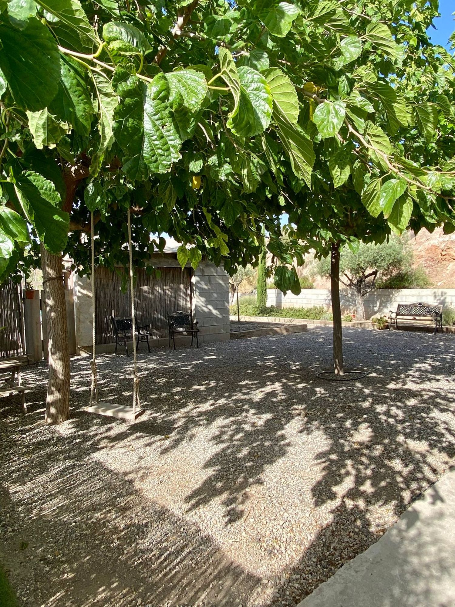 Finca rústica en Paraje Cucuch s/n - Foto 26