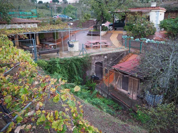 Casa independiente en calle el Sino, 37 - Foto 2