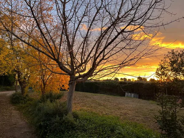 Casa independiente en Diseminado P068, 256 - Foto 2